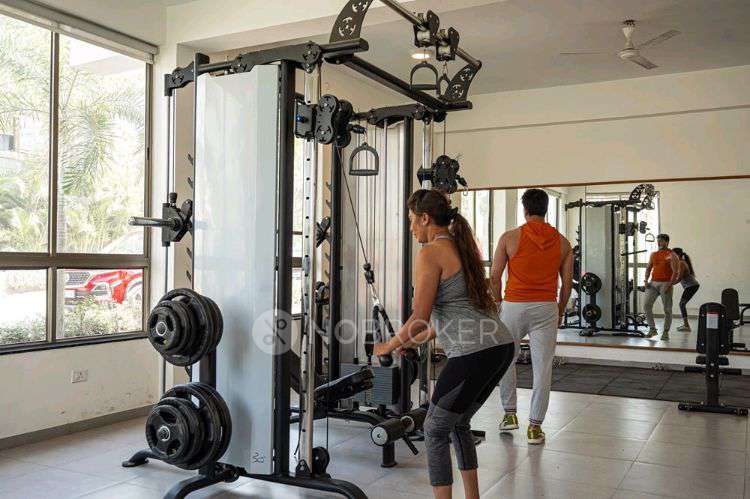 2 BHK Flat In Mahalunge Riviera for Rent  In Riviera Mahalunge