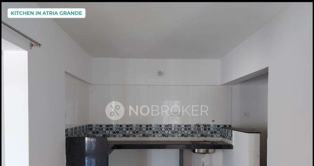 2 BHK Flat In Atria Grande For Sale  In Handewadi