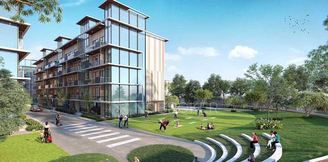 3 BHK Flat For Sale  In Signature Global City 79b