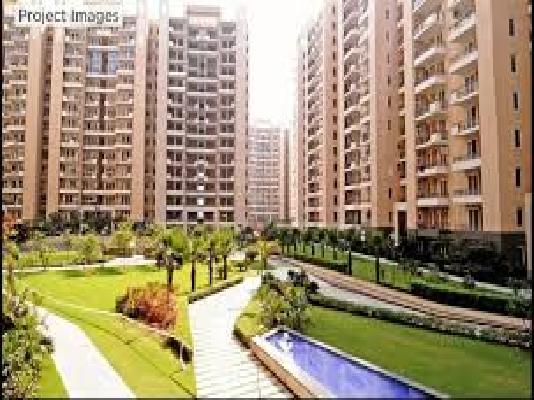 3 BHK Flat In Tulip Violet, Sector-69 for Rent  In Sector-69