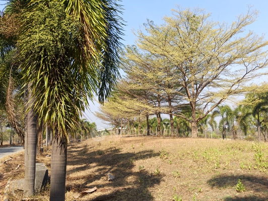 2 BHK Flat In Xrbia Hinjawadi for Rent  In Marunji Village