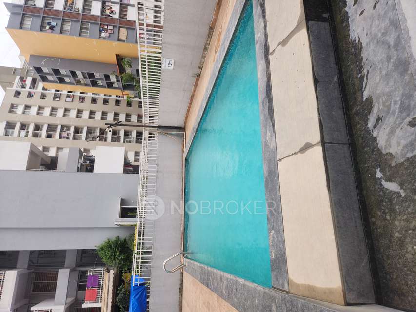 2 BHK Flat In Legacy Fortune Exotica for Rent  In Ravet