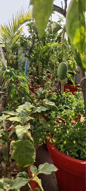 3 BHK Flat In Standalone Building   For Sale  In Dilshad Colony