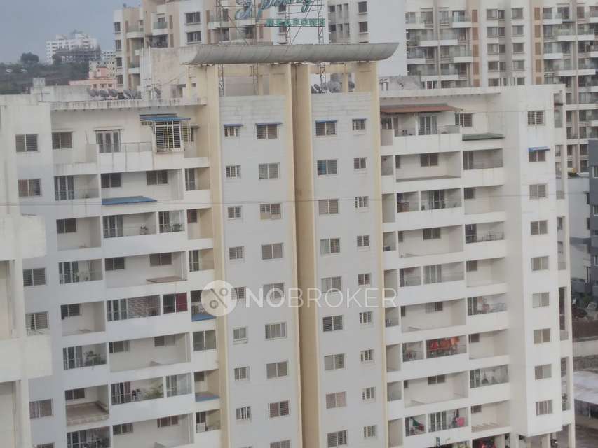 1 BHK Flat In Spring Medows Chs For Sale  In Ambegaon Bk