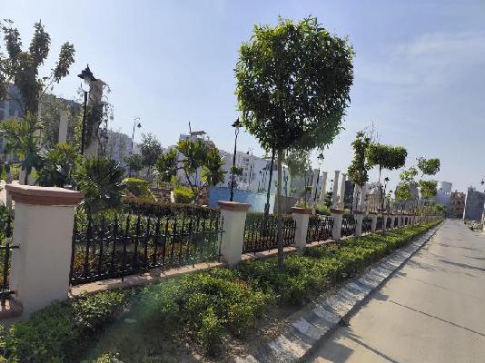 Plot For Sale  In Sector 1, Oakwood Enclave, Wave City In Wave City Marg