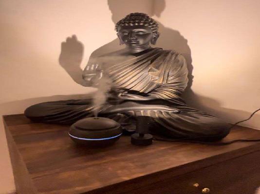 1 BHK Villa In Casa Sereno For Sale  In Thane