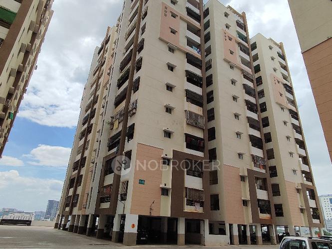 HIG DOWN OWNERS WELFARE ASSOCIATION