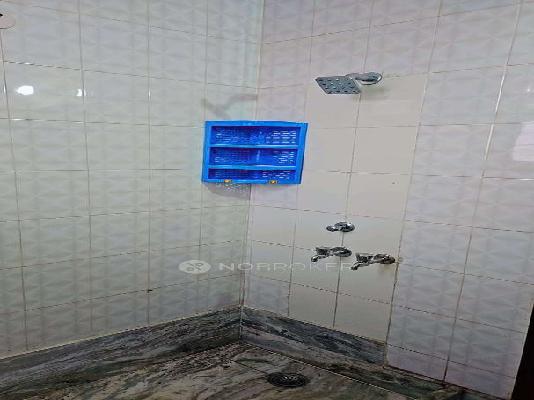 PG for Girls in Sector 14