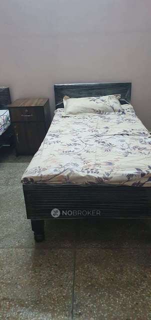 PG for Girls in Sector 16