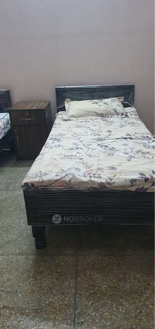 PG for Girls in Sector 16