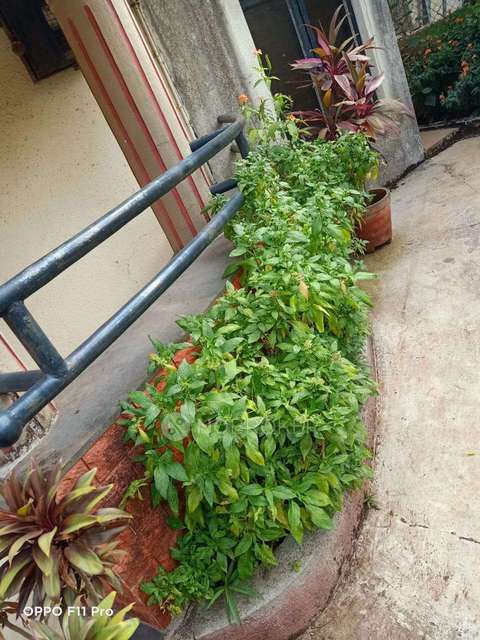 3 BHK House For Sale  In Talegaon Dabhade