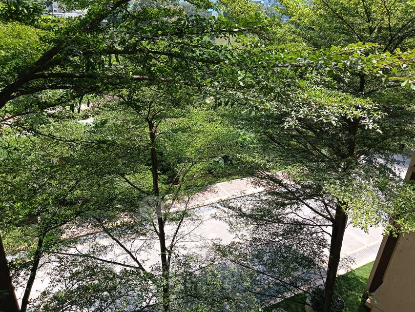 2 BHK Flat In Aparna Cyber Commune For Sale  In Nallagandla