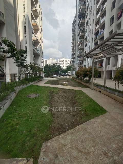 3 BHK Flat In Krisala 41 Estera for Rent  In  Punawale