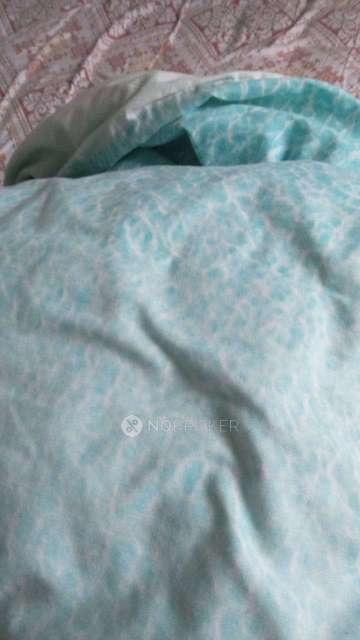 2 BHK Flat In Stanadlone Building For Sale  In Raj Nagar