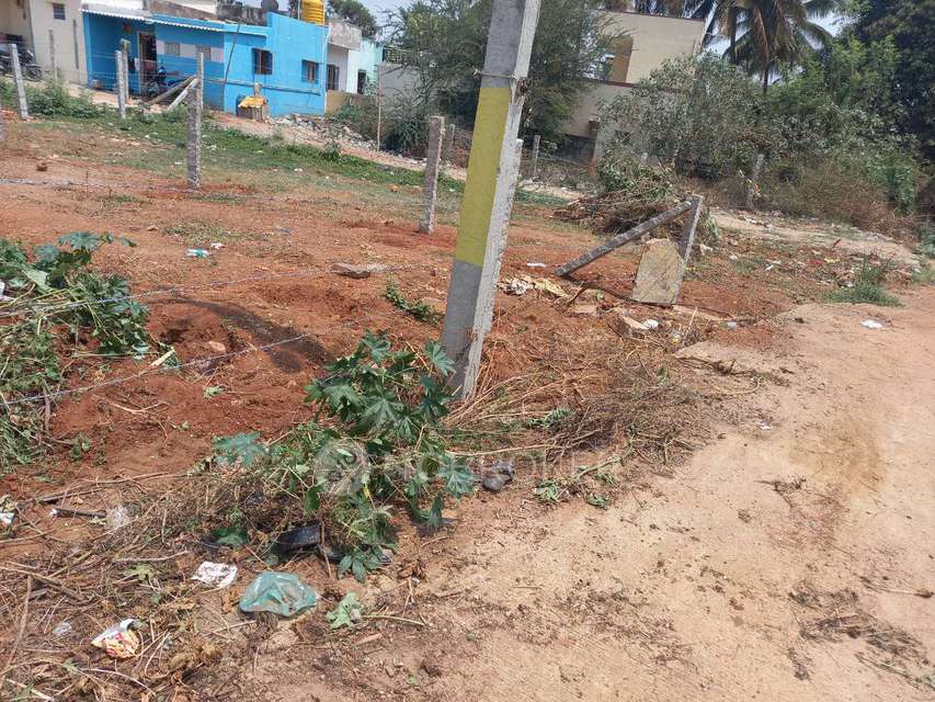 1 BHK House For Sale  In Gulimangala