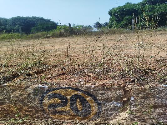 Plot For Sale  In Hunnigere