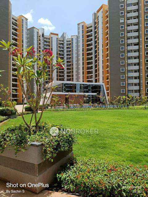 2 BHK Flat In Joyville Hinjawadi  for Rent  In Hinjawadi