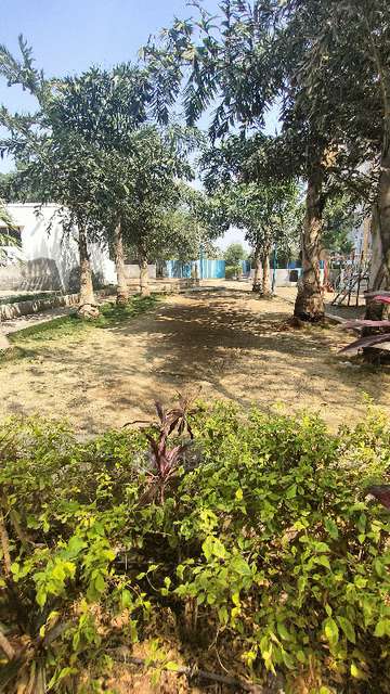 1 BHK Flat In Hollyhock City For Sale  In Lohgaon