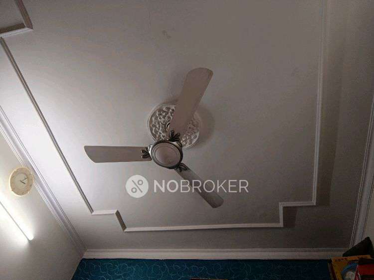 1 BHK Flat In Dda Flats For Sale  In Rohini Sector 1 Avantika