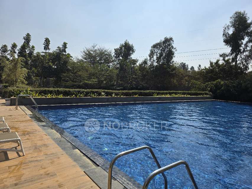 3 BHK Flat for Rent  In Assetz 63 Degree East