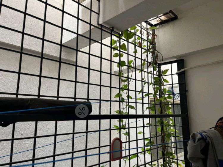 3 BHK Flat In Sr Flora  for Rent  In Sr Flora Tower-b