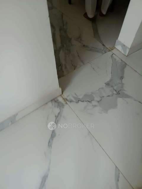 3 BHK Flat In Supreme Estia for Rent  In Baner