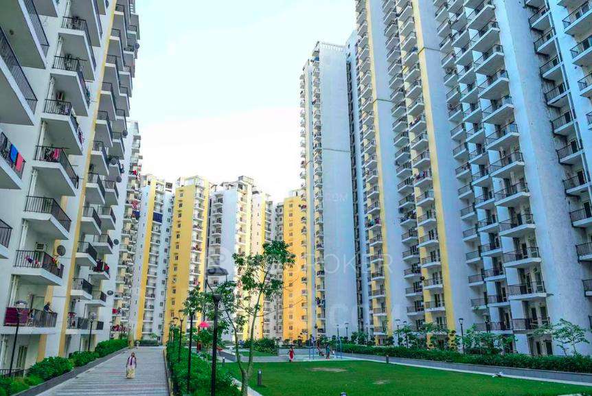 3 BHK Flat In Panchsheel Hynish for Rent  In Sector 1 