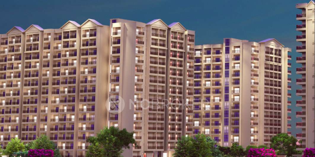 3 BHK Flat In Ds Max Sky Shlokam For Sale  In Sadahalli