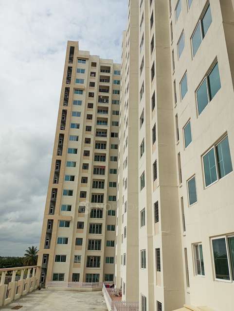 3 BHK Flat In Shriram Greenfield For Sale  In Bomenahalli