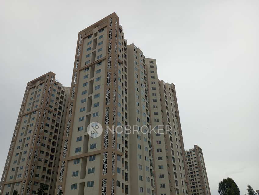 3 BHK Flat In Shriram Greenfield For Sale  In Bomenahalli