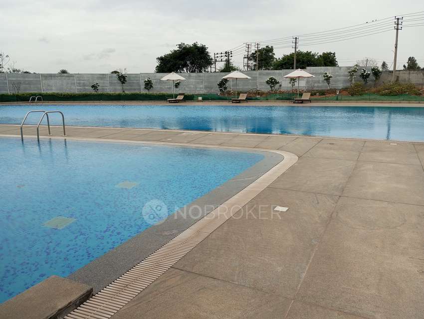 3 BHK Flat In Shriram Greenfield For Sale  In Bomenahalli