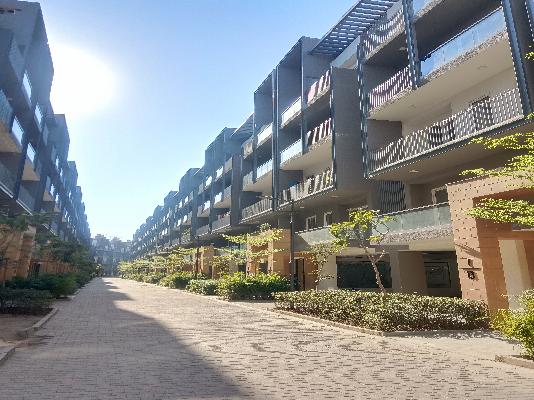 3 BHK Flat In Smart World Orchard for Rent  In Sector-61