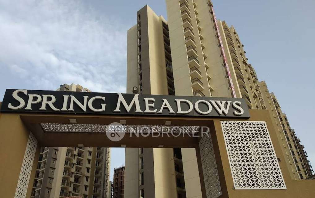 1 BHK Flat In Pigeon Spring Meadows for Rent  In Patwari