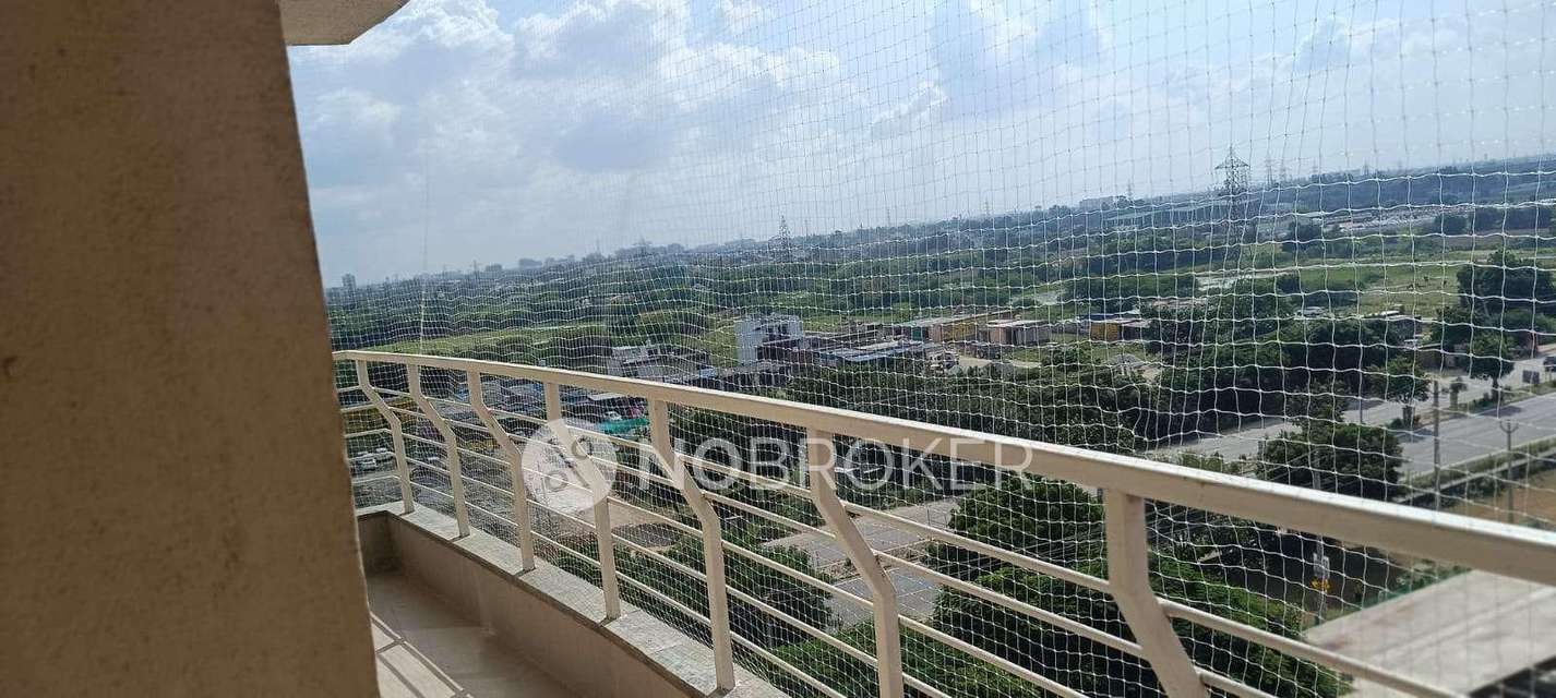 3 BHK Flat In Bptp The Resort for Rent In Sector 75