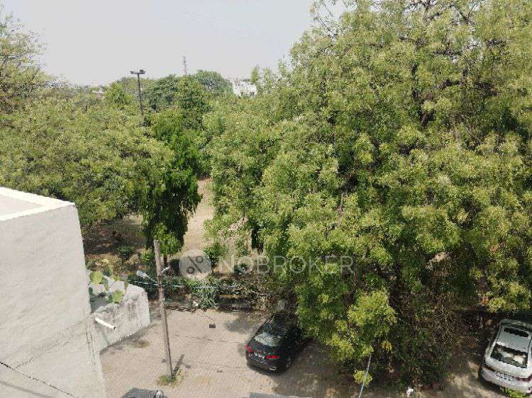 4+ BHK Flat In Rwa Pocket B For Sale  In Ashok Vihar
