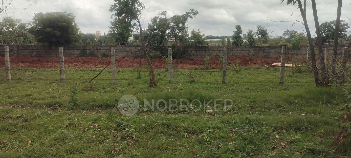 Plot For Sale  In S N Nagar  Phase 1 In Chokkasandra