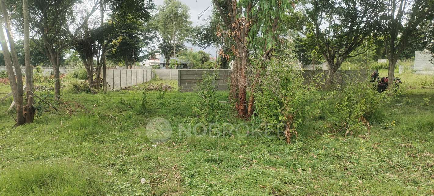 Plot For Sale  In S N Nagar  Phase 1 In Chokkasandra