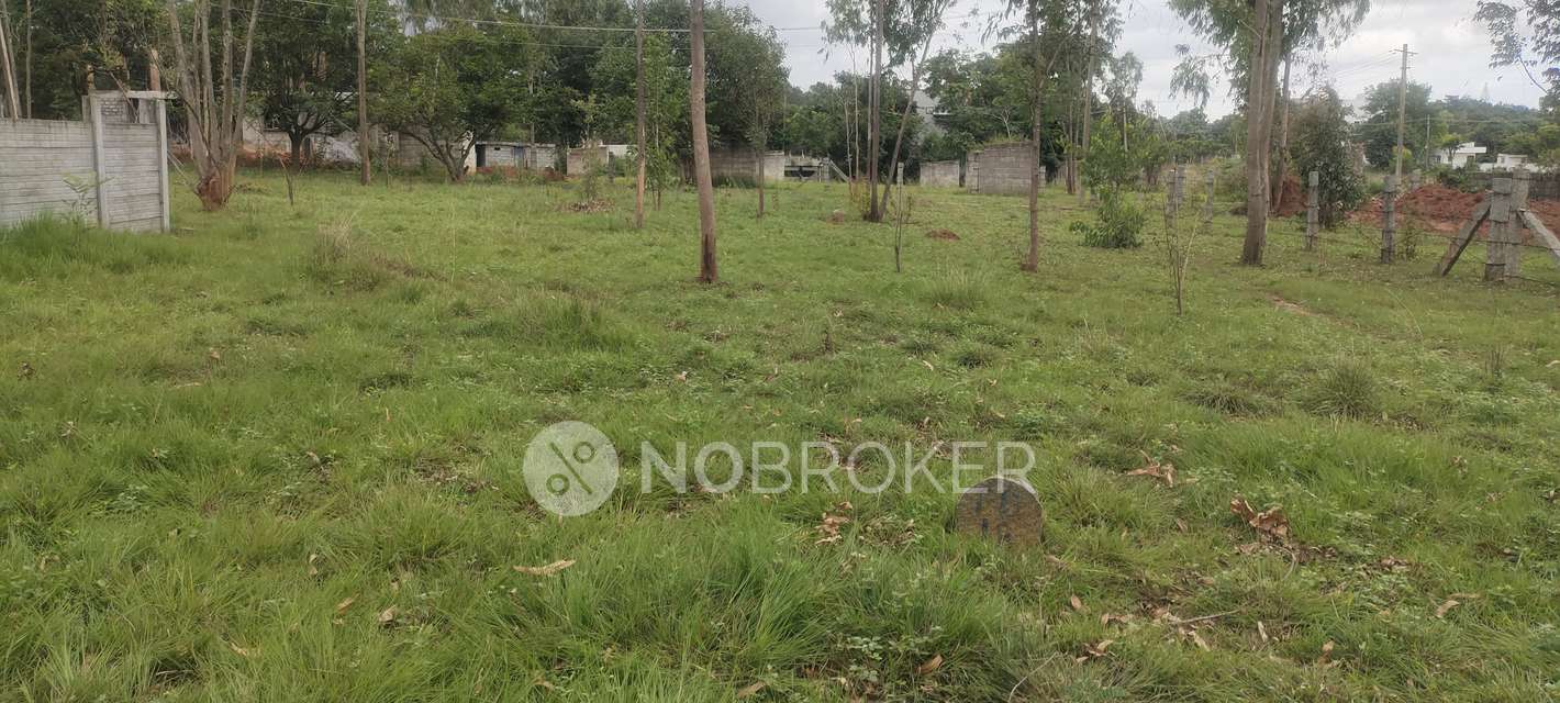 Plot For Sale  In S N Nagar  Phase 1 In Chokkasandra