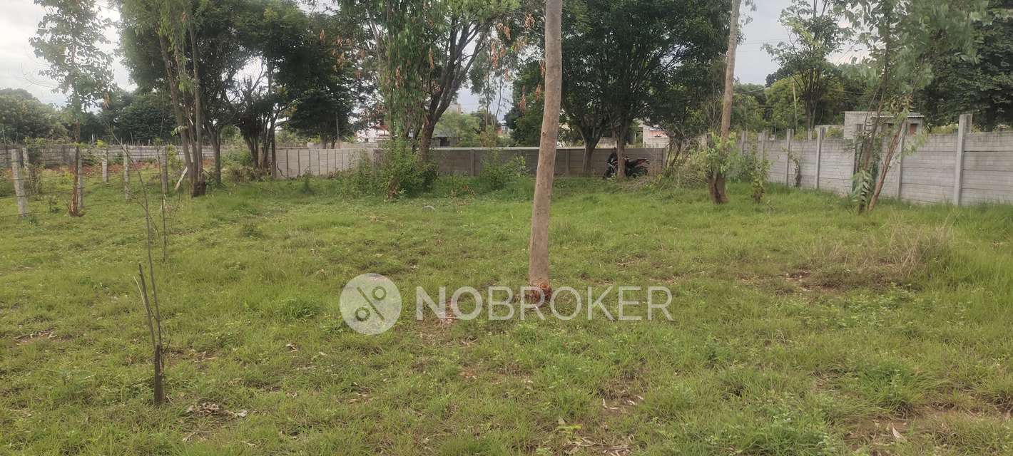 Plot For Sale  In S N Nagar  Phase 1 In Chokkasandra