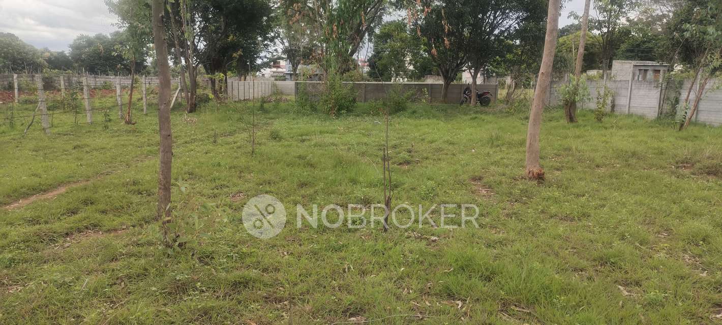 Plot For Sale  In S N Nagar  Phase 1 In Chokkasandra