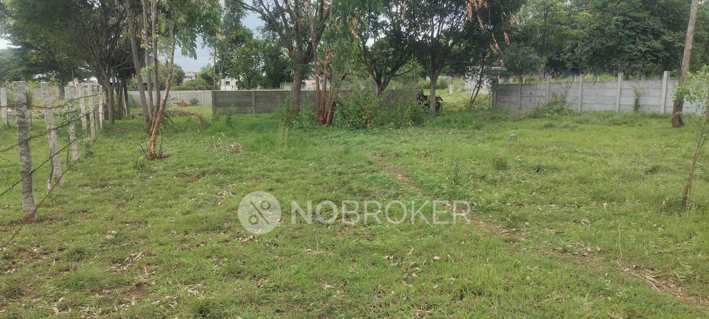 Plot For Sale  In S N Nagar  Phase 1 In Chokkasandra
