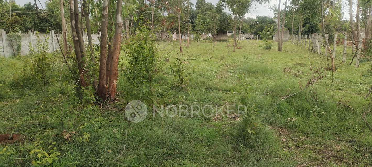 Plot For Sale  In S N Nagar  Phase 1 In Chokkasandra