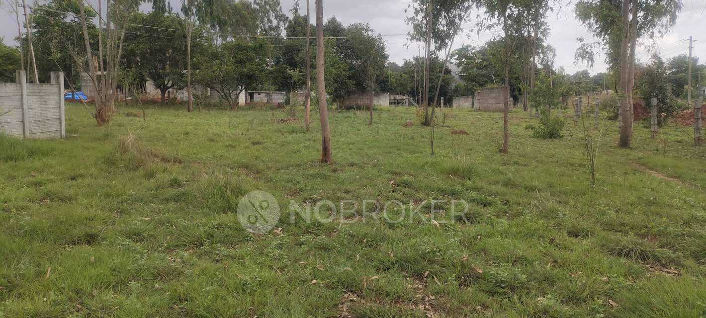 Plot For Sale  In S N Nagar  Phase 1 In Chokkasandra