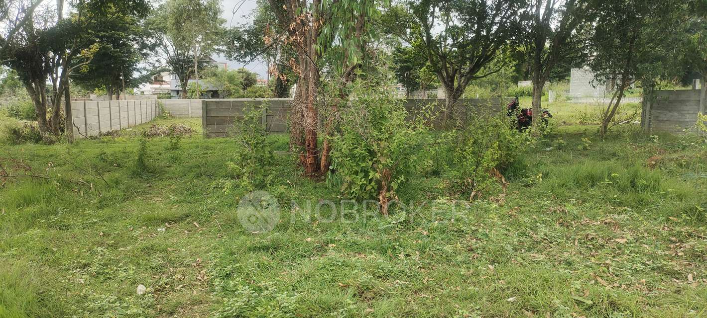 Plot For Sale  In S N Nagar  Phase 1 In Chokkasandra
