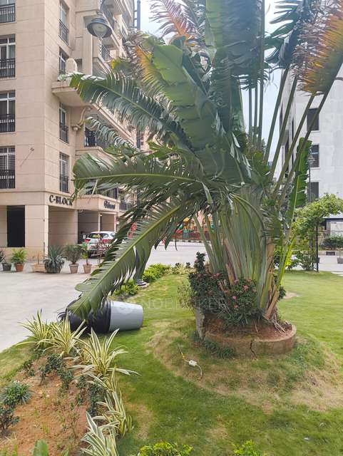 3 BHK Flat In Aditya Empress Towers For Sale  In Shaikpet