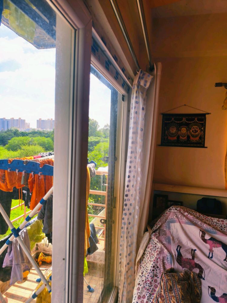 Pyramid Banksia & Mahika