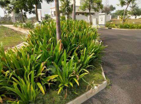 Plot For Sale  In Sobha Evergreens In Nandambakkam