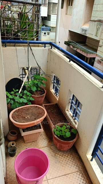 4 BHK House For Sale  In Basavanagudi