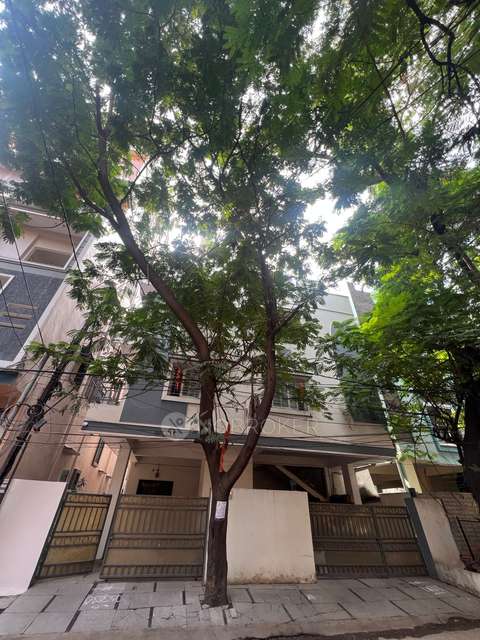 4+ BHK Flat For Sale  In Masab Tank