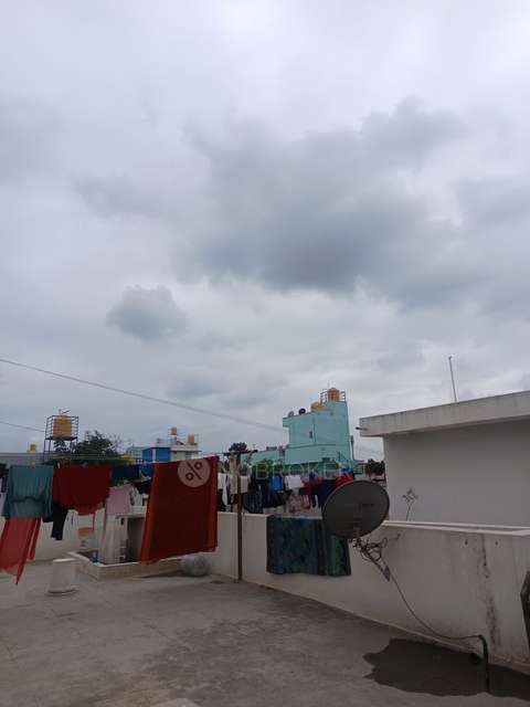 3 BHK House For Sale  In Jalahalli